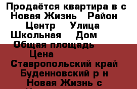 Продаётся квартира в с. Новая Жизнь › Район ­ Центр  › Улица ­ Школьная  › Дом ­ 28 › Общая площадь ­ 54 › Цена ­ 1 000 000 - Ставропольский край, Буденновский р-н, Новая Жизнь с. Недвижимость » Квартиры продажа   . Ставропольский край